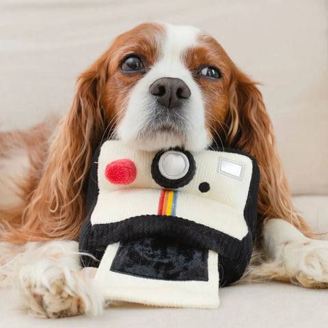 INSTANT CAMERA - snuffle + squeaky – Lambwolf – Dog Interactive Toys – image 5