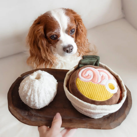 RAMEN - snuffle + squeaky