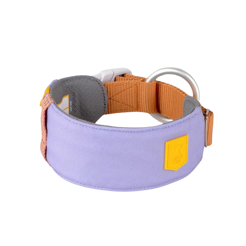 ALPHA 360 COLLAR - Lavender