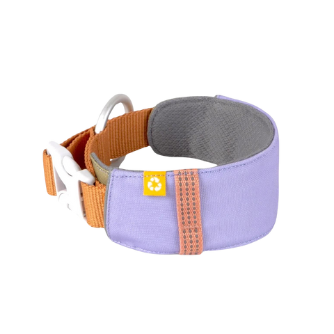 ALPHA 360 COLLAR - Lavender