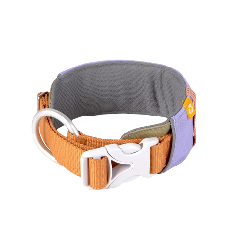 ALPHA 360 COLLAR - Lavender