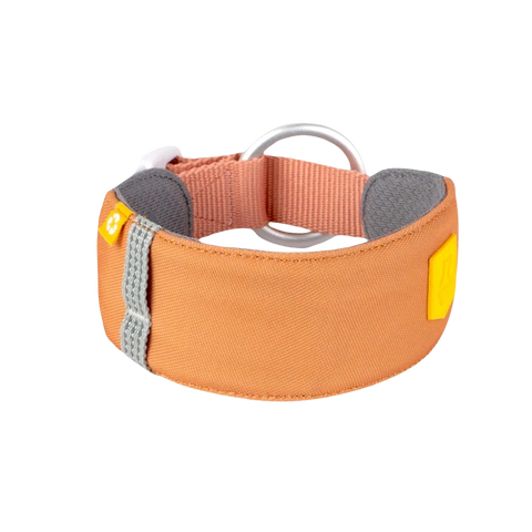 ALPHA 360 COLLAR - Golden Hour