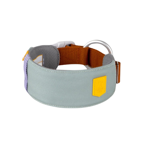 ALPHA 360 COLLAR - Glacier Green
