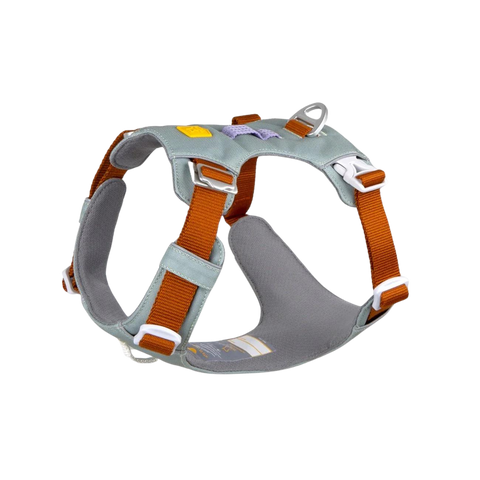 Alpha 360 Harness - Glacier Green