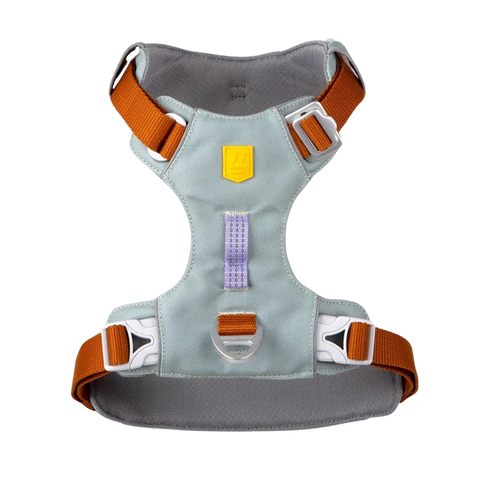 Alpha 360 Harness - Glacier Green