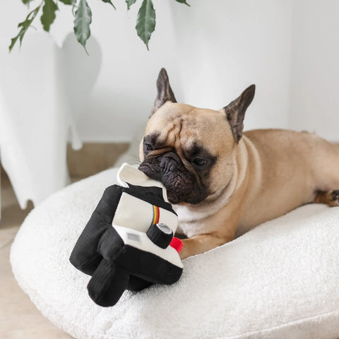 INSTANT CAMERA - snuffle + squeaky – Lambwolf – Dog Interactive Toys – side view